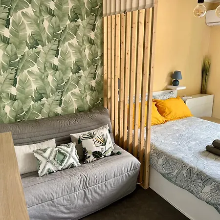 Palm Leaf Daire Nice