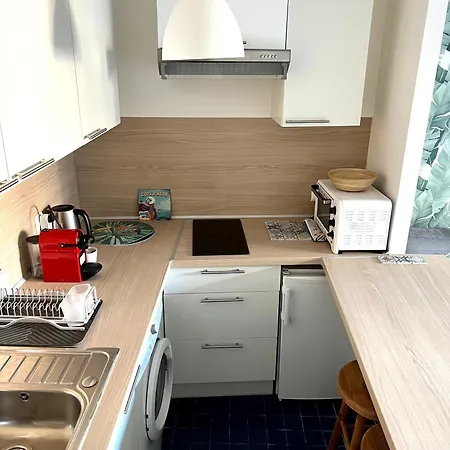 Palm Leaf Apartamento Nice