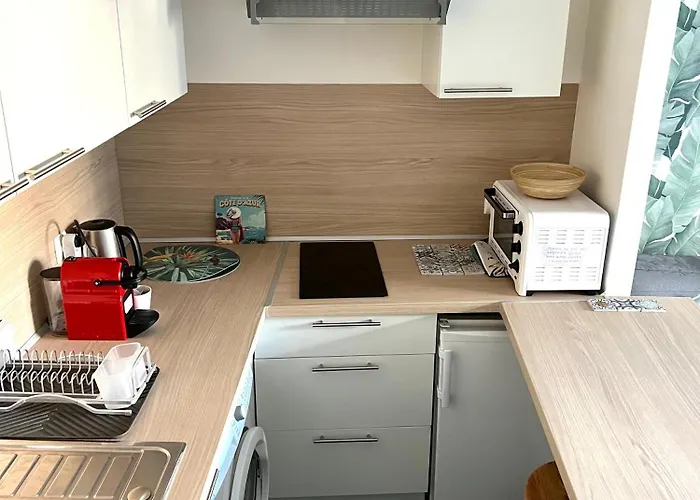 Palm Leaf Apartamento Nice