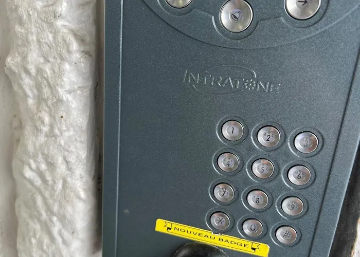 Palm Leaf Appartamento Nizza